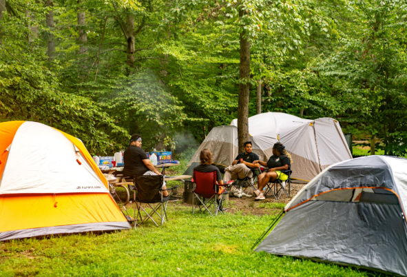 The Art of Camping in Style and Comfort
